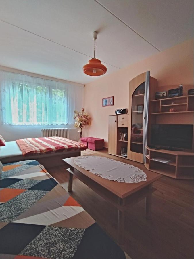 Apartman V Срні Екстер'єр фото