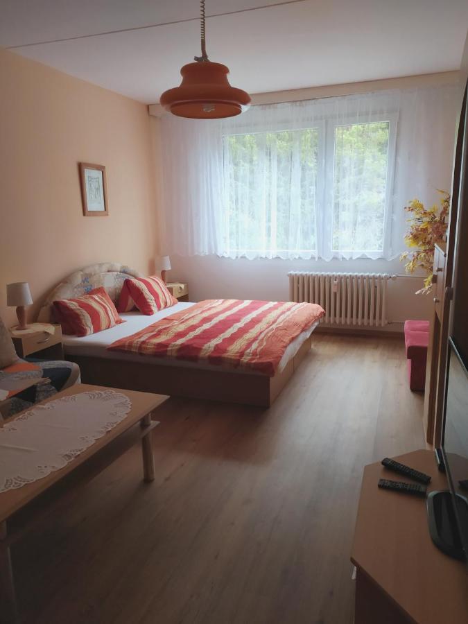 Apartman V Срні Екстер'єр фото